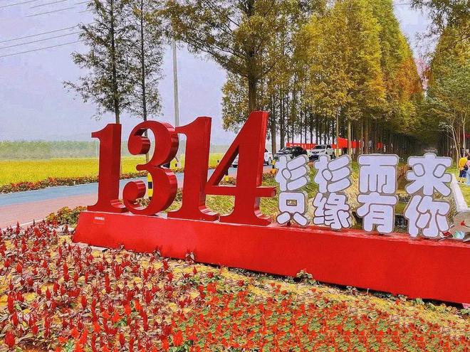 滁州这两个项目入选！2023长三角地区体育旅游精品项目揭晓！(图8)