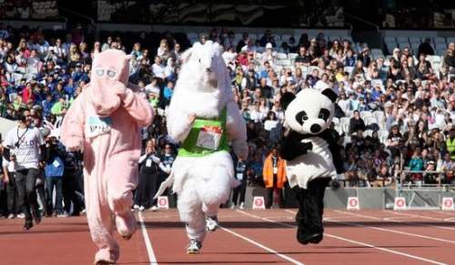 运动会通讯稿(图1) 运动会通讯稿(图1)