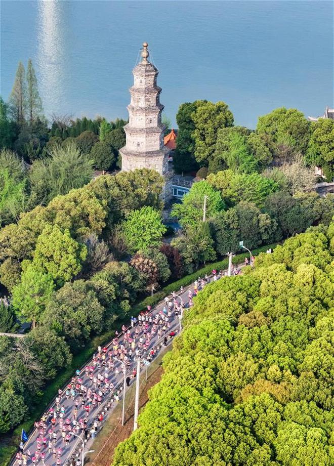 2024荆州马拉松鸣枪开跑2600多名志愿者服务赛事保障工作(图6)
