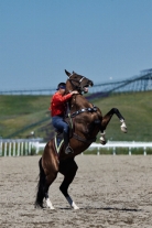 第十二届全国少数民族传统体育运动会马上项目将于7月8日在新疆昭苏举行(图4) 第十二届全国少数民族传统体育运动会马上项目将于7月8日在新疆昭苏举行(图4)